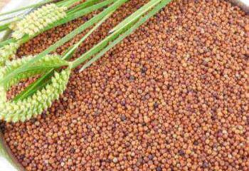 Health benefits of Ragi for kids Feature in Mommywize