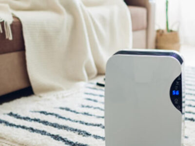 Top 5 Air Purifiers Reviews & Buying Tips Feature in Mommywize